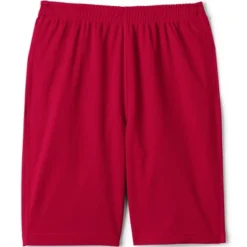 Lands' End Lands' End School Uniform Men's Mesh Gym Shorts -Lands' End Store GUEST 16d891ae ff5f 4017 b529 7b30438c94e7